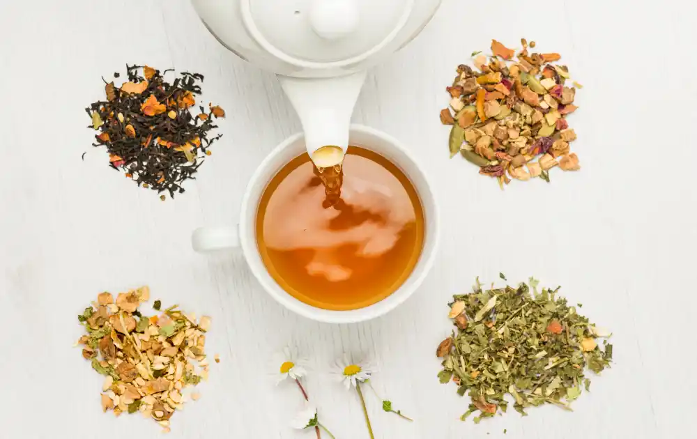 紅茶の種類、効能一覧