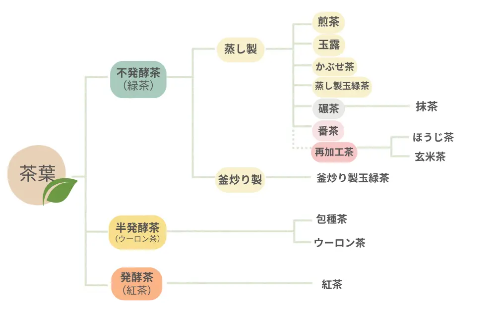 日本茶の種類、代表的な茶葉の種類