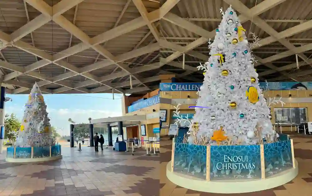 えのすいクリスマスサンゴのクリスマスツリー