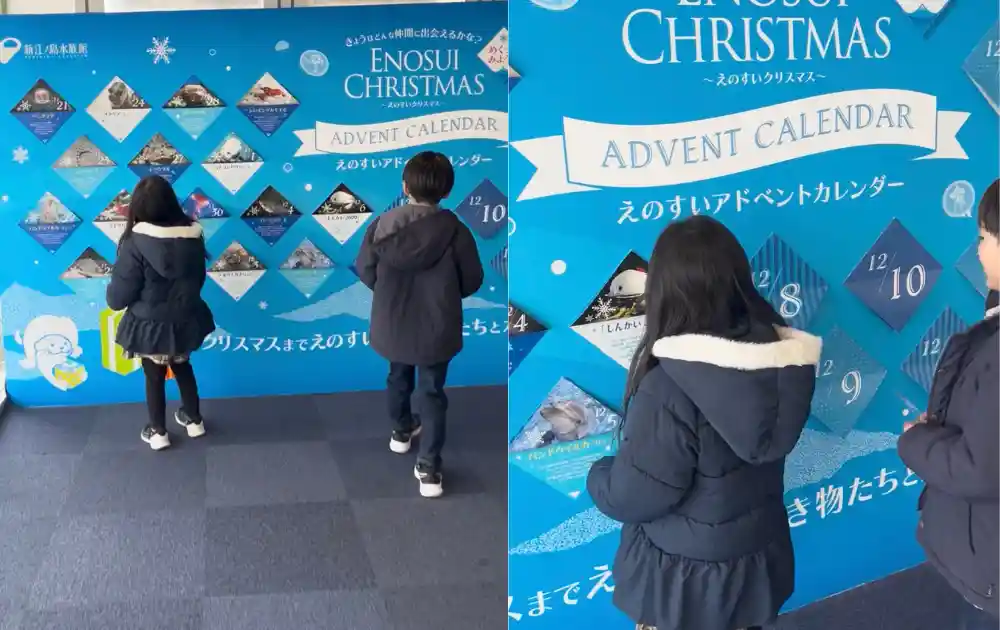 えのすいクリスマスアドベントカレンダー