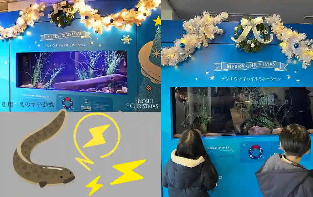 えのすいクリスマス